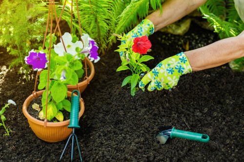 Safe tree removal practices by professionals