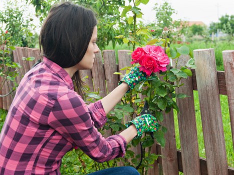 Professional gardeners working in Stratford garden