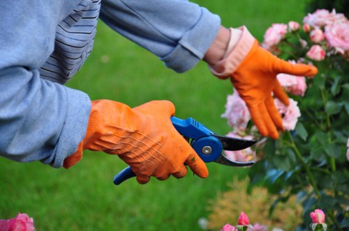 Eco-friendly garden clearance practices in Stratford