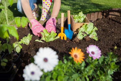 Professional landscaper designing a garden