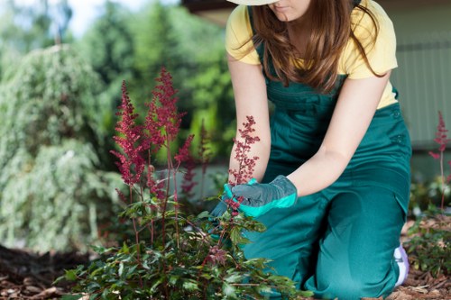 Native plants thriving in Stratford climate