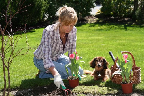 Professional decking contractor discussing design plans