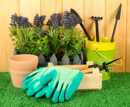 Seasonal lawn care activities in Stratford